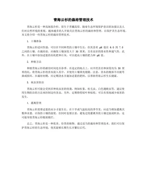 青海云杉的栽培管理技术