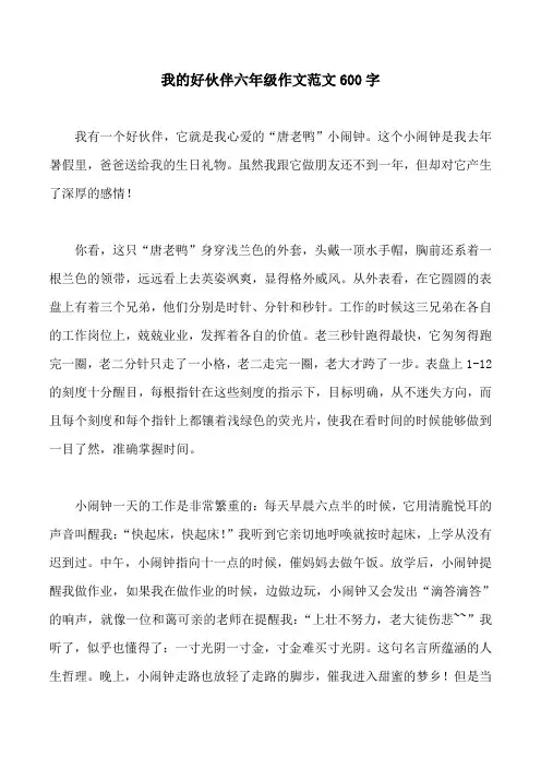 我的好伙伴六年级作文范文600字