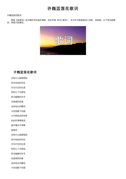 许巍蓝莲花歌词