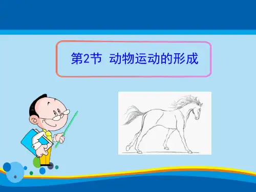《动物运动的形成》PPT【精选推荐课件】