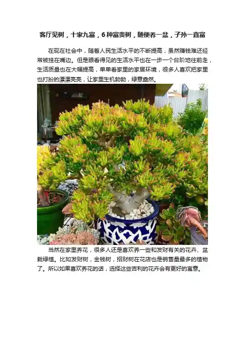 客厅见树，十家九富，6种富贵树，随便养一盆，子孙一直富