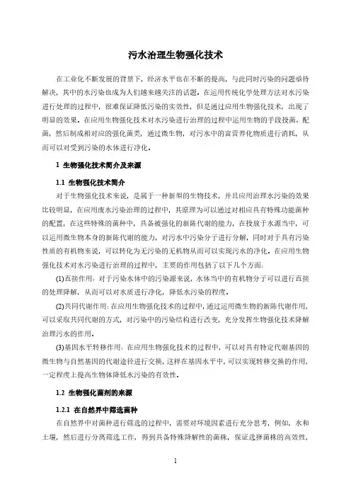污水治理生物强化技术