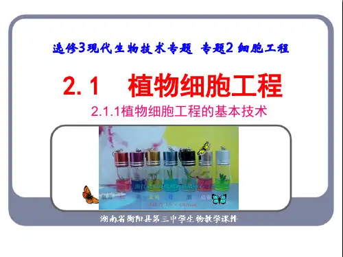 人教版高中生物选修三专题2细胞工程  2.1.1植物细胞工程的基本技术(共40张ppt)