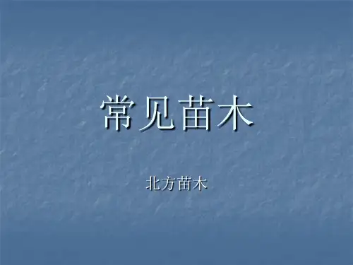 北方小区绿化常用植物