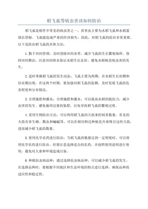 稻飞虱等病虫害该如何防治