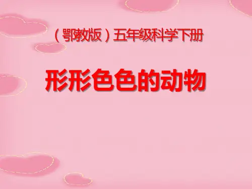 2021完整版《形形色色的动物》PPT课件2