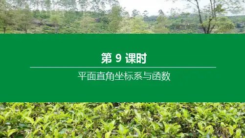 中考数学复习第三单元函数第09课时平面直角坐标系与函数