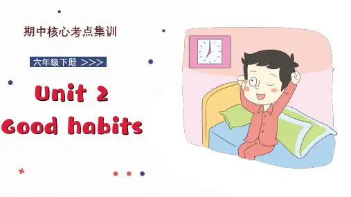 Unit2(复习课件)六年级英语下学期期中核心考点集训(译林版三起)