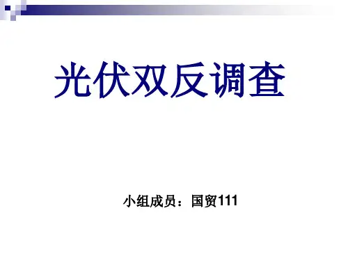 双反调查