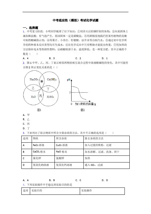 中考适应性(模拟)考试化学试题