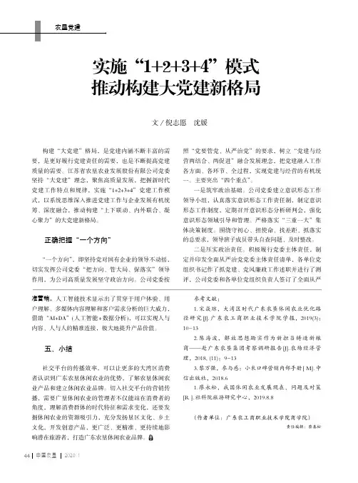 实施“1+2+3+4”模式 推动构建大党建新格局
