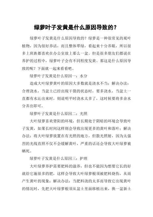 绿萝叶子发黄是什么原因导致的？