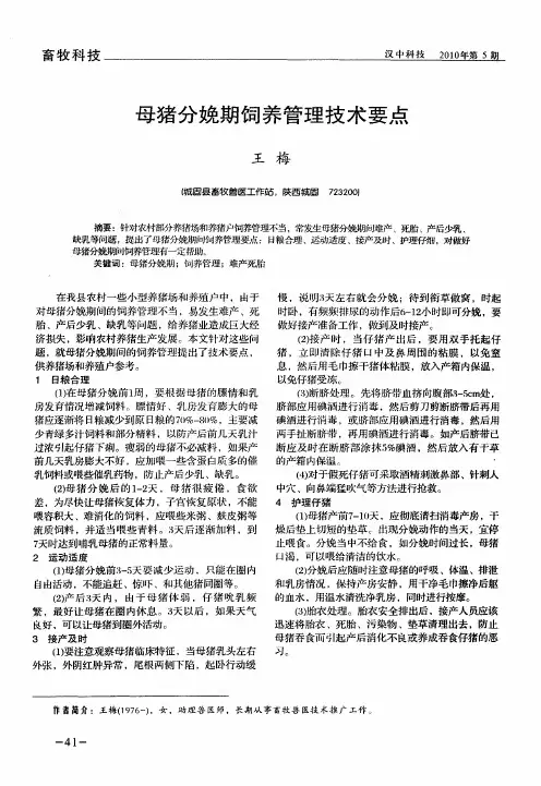 母猪分娩期饲养管理技术要点