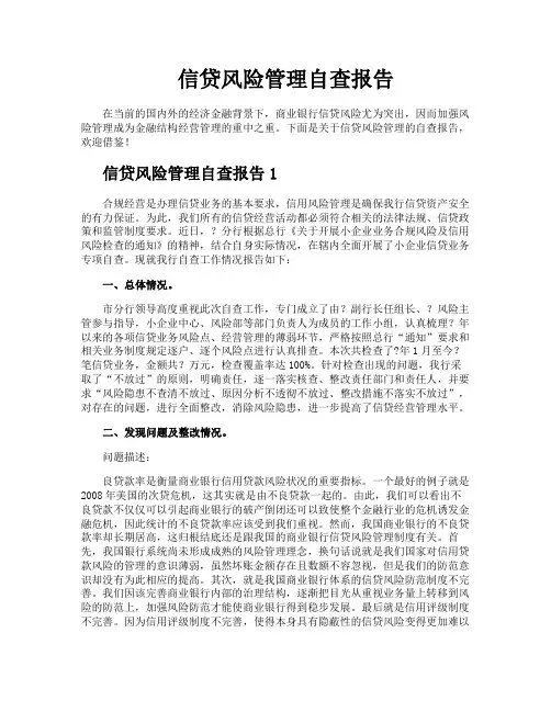 信贷风险管理自查报告
