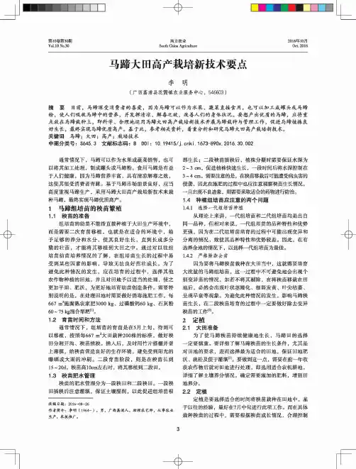 马蹄大田高产栽培新技术要点