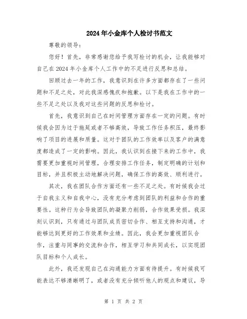 2024年小金库个人检讨书范文
