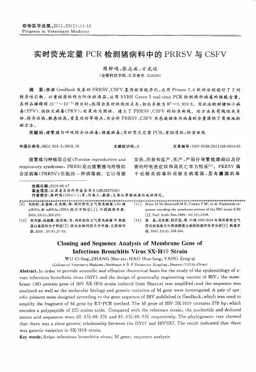 实时荧光定量PCR检测猪病料中的PRRSV与CSFV
