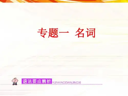 高考英语一轮复习——专题一： 名词