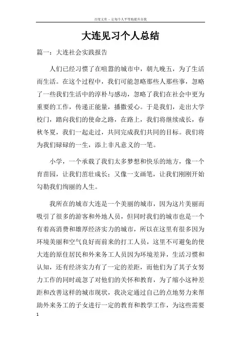 大连见习个人总结doc