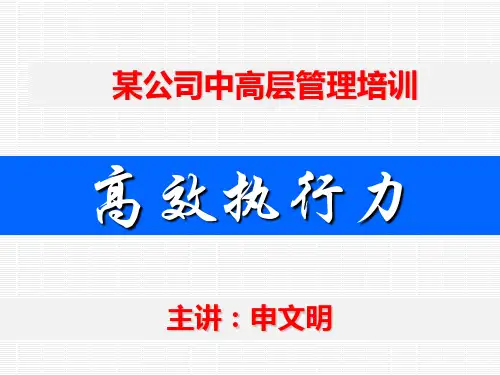 某公司中高层高效执行力教材