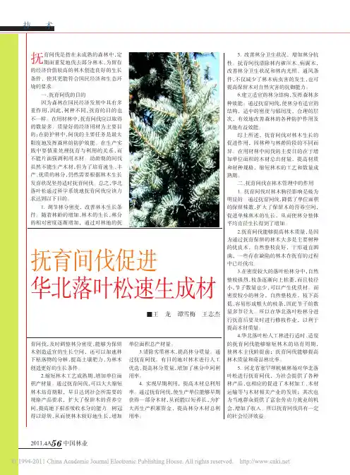 抚育间伐促进华北落叶松速生成材