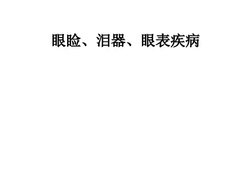 眼科学：眼睑、泪器、眼表疾病