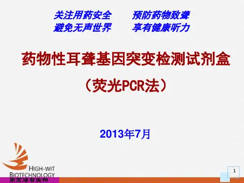 药物性耳聋基因检测幻灯
