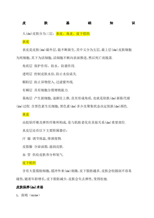 皮肤基础知识