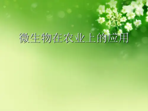 微生物在农业上的应用优秀课件
