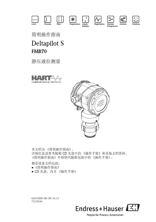 KA01020PZH DeltaPilot S FMB70 HART 静压液位测量简明操作指南