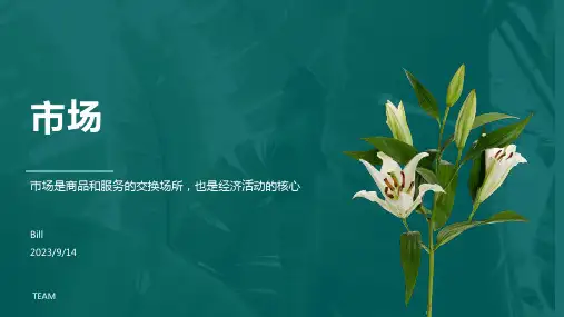 2023年电子材料行业现状分析报告模板