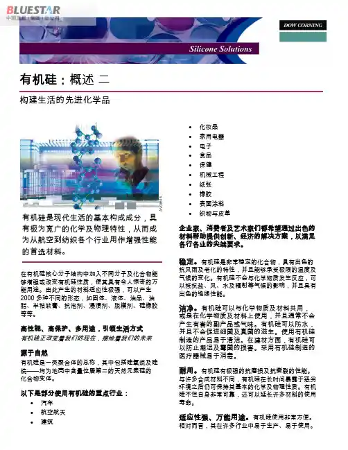 有机硅：概述二