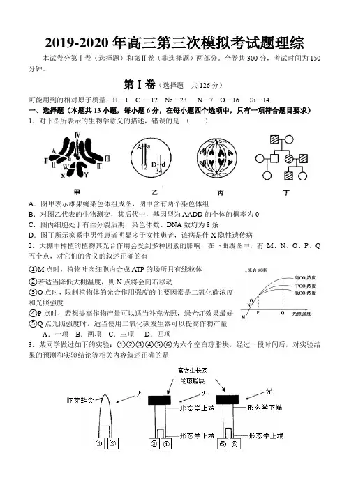 2019-2020年高三第三次模拟考试题理综