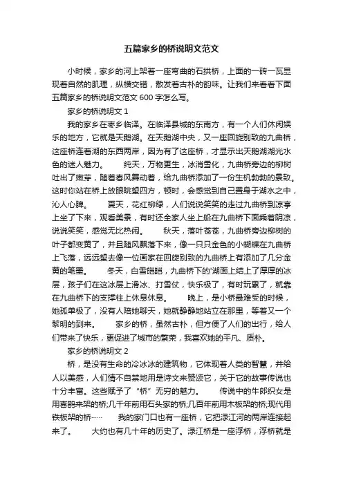 五篇家乡的桥说明文范文