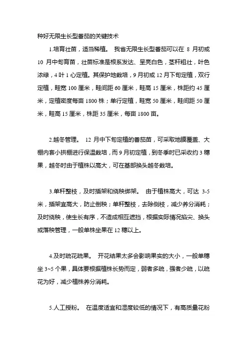 种好无限生长型番茄的关键技术