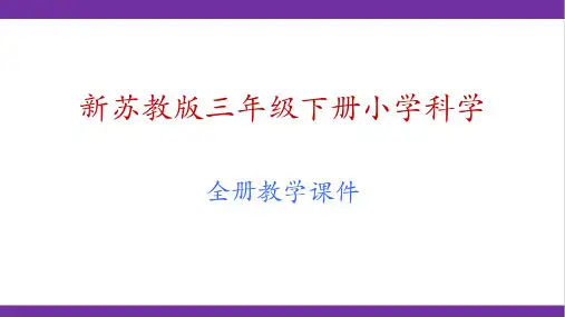 新版教材苏教版三年级下册科学全册教学课件PPT