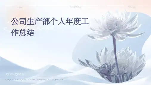 公司生产部个人年度工作总结PPT
