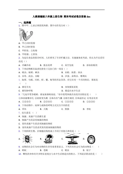 人教部编版八年级上册生物 期末考试试卷及答案doc 2