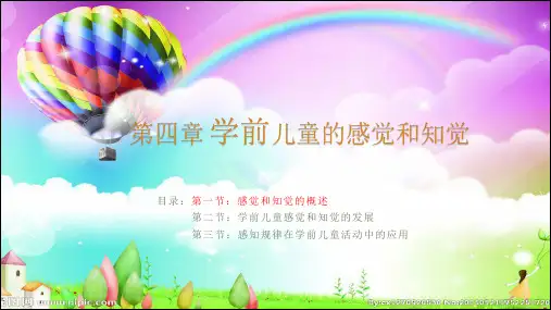 学前儿童的感觉和知觉的概述