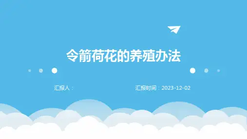 令箭荷花的养殖办法