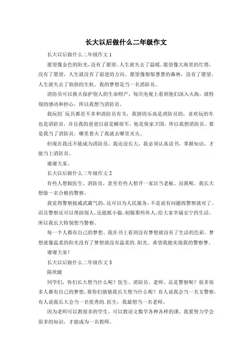 长大以后做什么二年级作文
