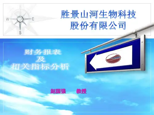 胜景山河财务分析