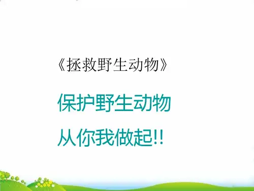 科学【冀教版】-《动物》课件-课件下载1