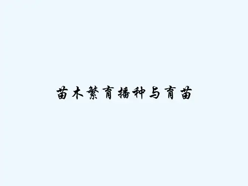 苗木繁育播种与育苗 PPT