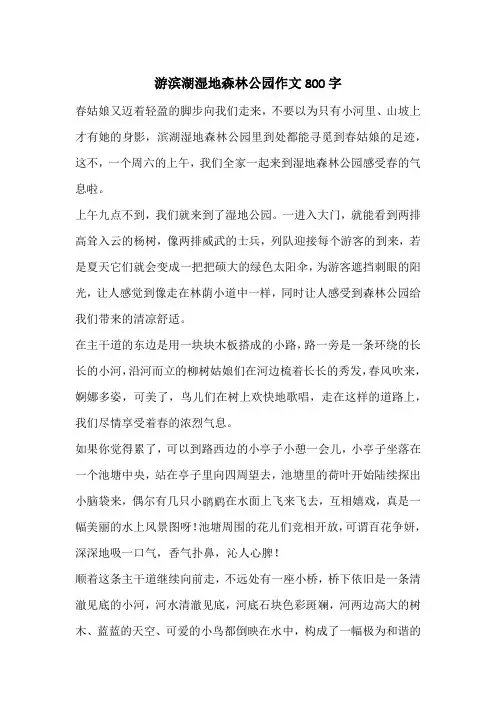 游滨湖湿地森林公园作文800字