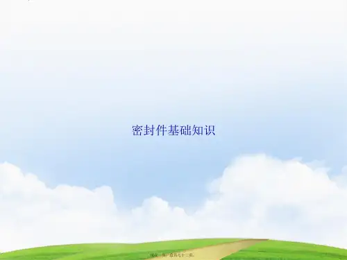 密封件基础知识讲课文档