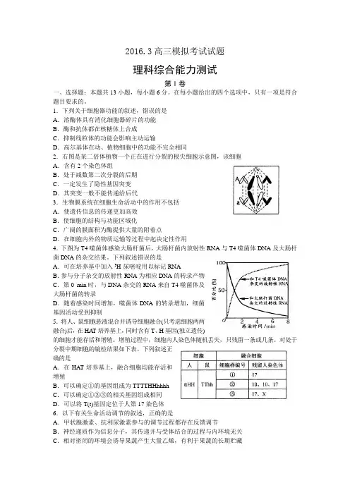 淄博市2015—2016学年度高三模拟考试生物试题