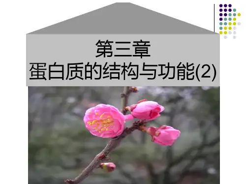 生物化学 第3章 蛋白质的结构与功能(2)