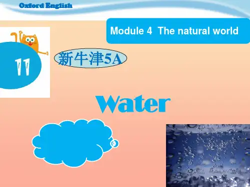 五年级英语上册 Unit 11 Water3 牛津上海版