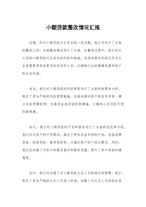 小额贷款整改情况汇报
